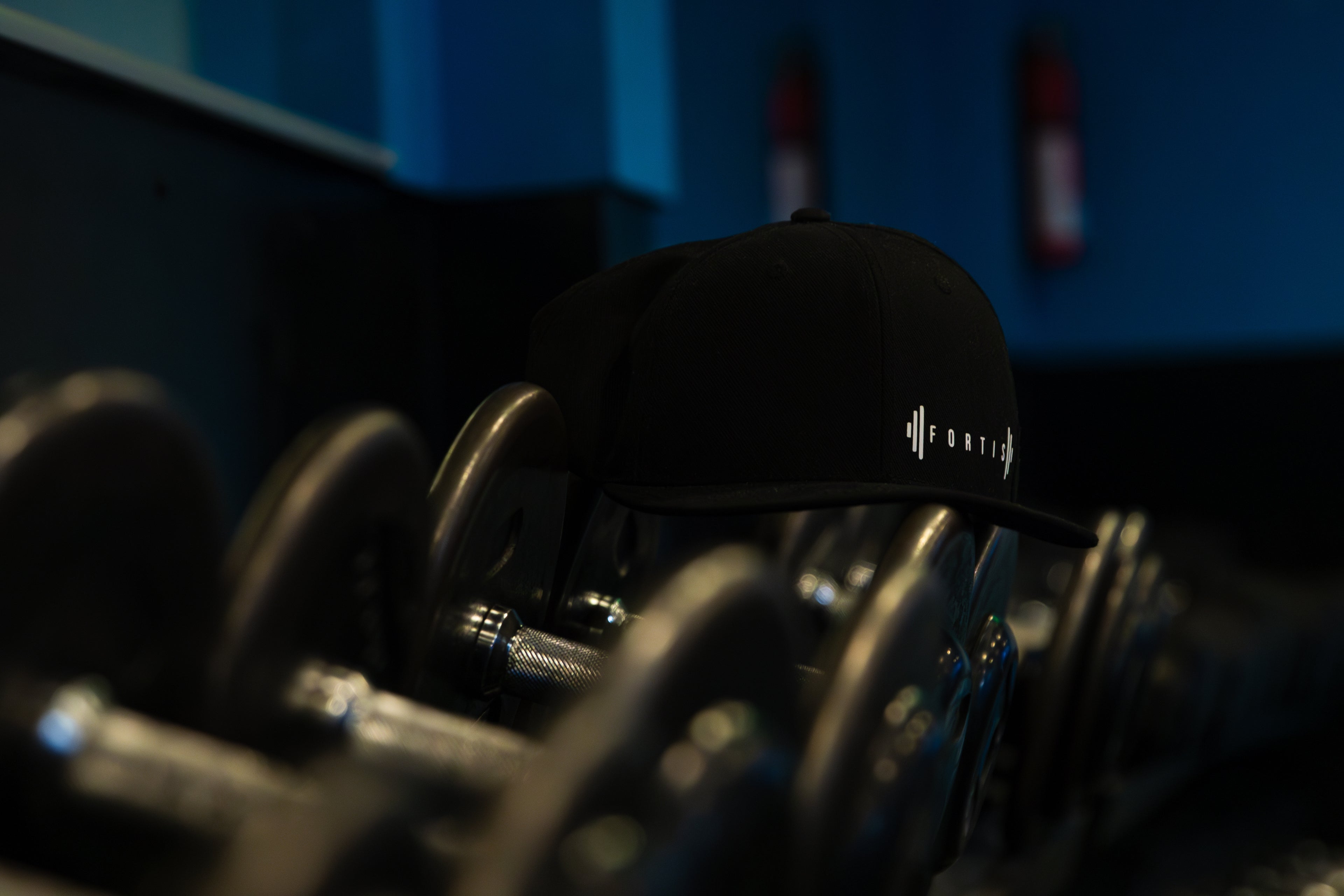 FORTIS CAPS "LIMITED"